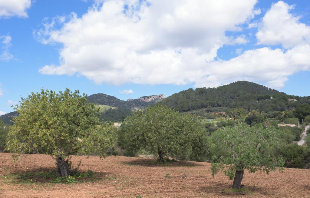 Finca Batlet S'Horta ภายนอก รูปภาพ